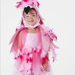 Pottery barn kids flamingo costume